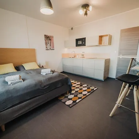 Beautiful New Studio, 400m From The Square * Plzeň