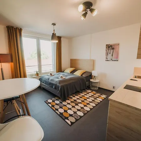 Beautiful New Studio, 400m From The Square Lägenhet Plzeň