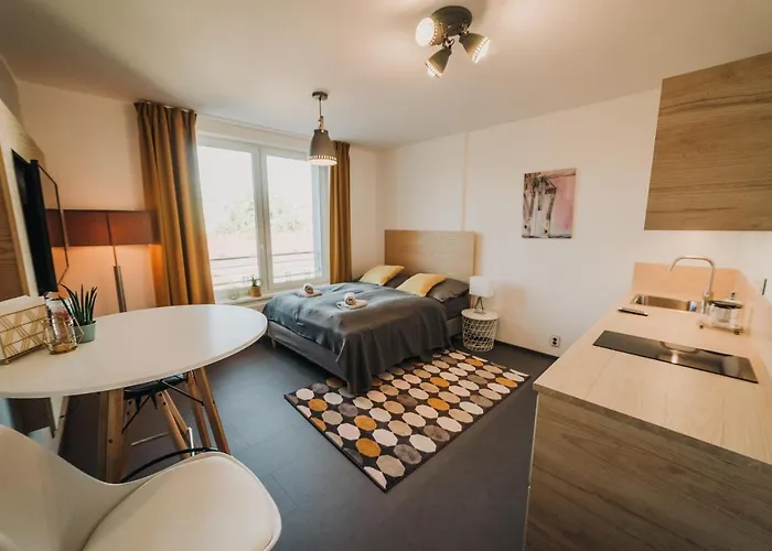 Beautiful New Studio, 400m From The Square Appartement Plzeň