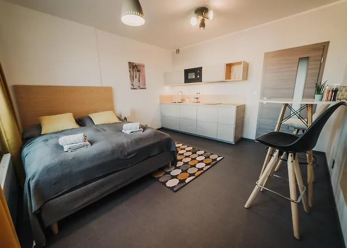 Beautiful New Studio, 400m From The Square * Plzeň